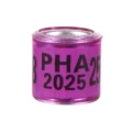 2025 purple