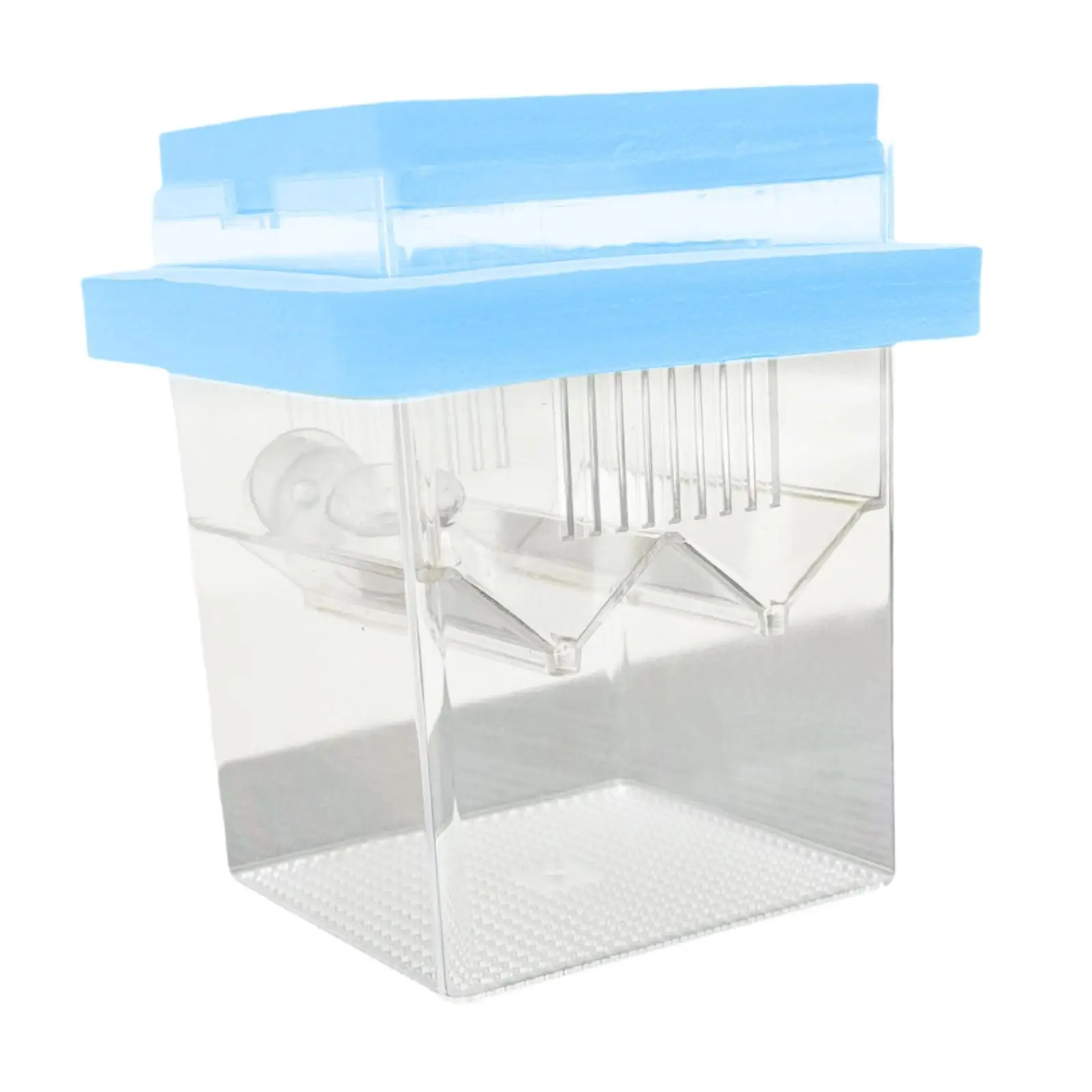 Floating Incubator Fish Breeding Box Small Fish Nursery Fish Egg Isolation Hatchery Box for Shrimp Betta Guppy Fish Floating Incubator Fish Breeding Box Small Fish Nursery Fish Egg Isolation Hatchery Box for Shrimp Betta Guppy Fish