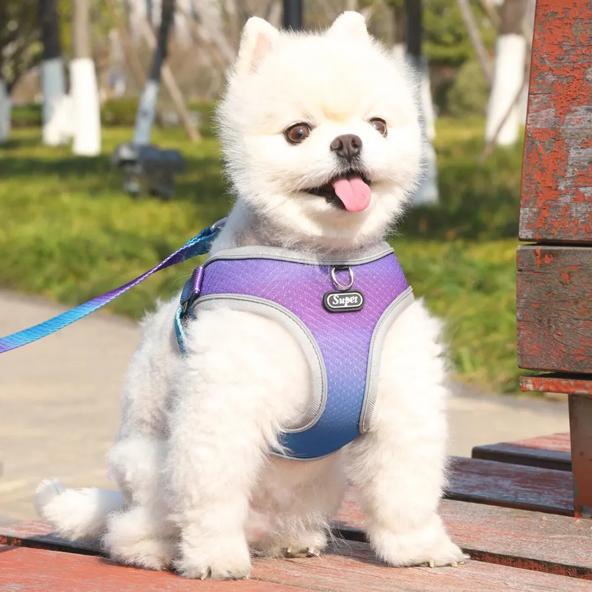 Arnés suave reflectante para perros y gatos – Chaleco transpirable y ajustable - imagen 5