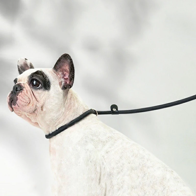 Juego de correa ajustable para perro, cuerda de nailon duradera para perros pequeños y medianos, Bulldog Francés, Shiba Inu, accesorios para correas para cachorros - imagen 4