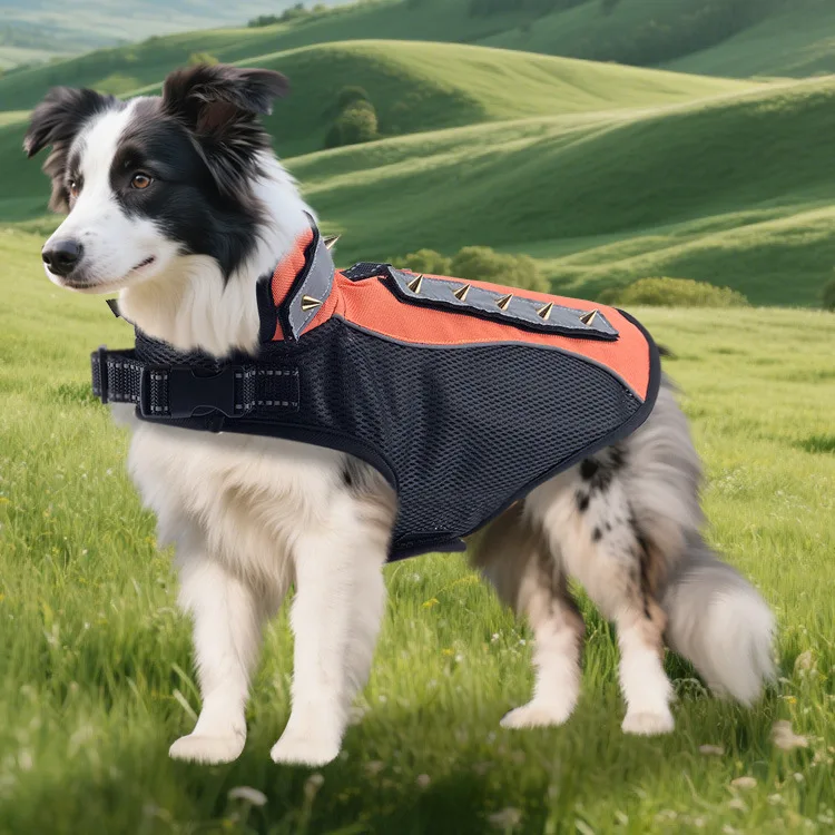 Ropa antimordeduras con juntas y clavos para perros – Aire libre - imagen 2