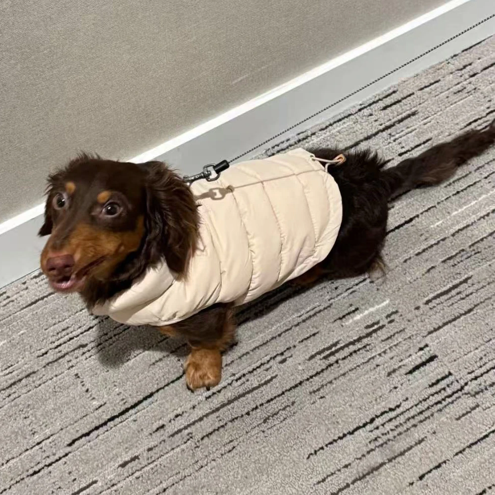 Chaqueta de plumón blanca de invierno para perros tejón, chaleco grueso para perros Wiener, abrigo ligero y cálido sin mangas para perros Wiener - imagen 3