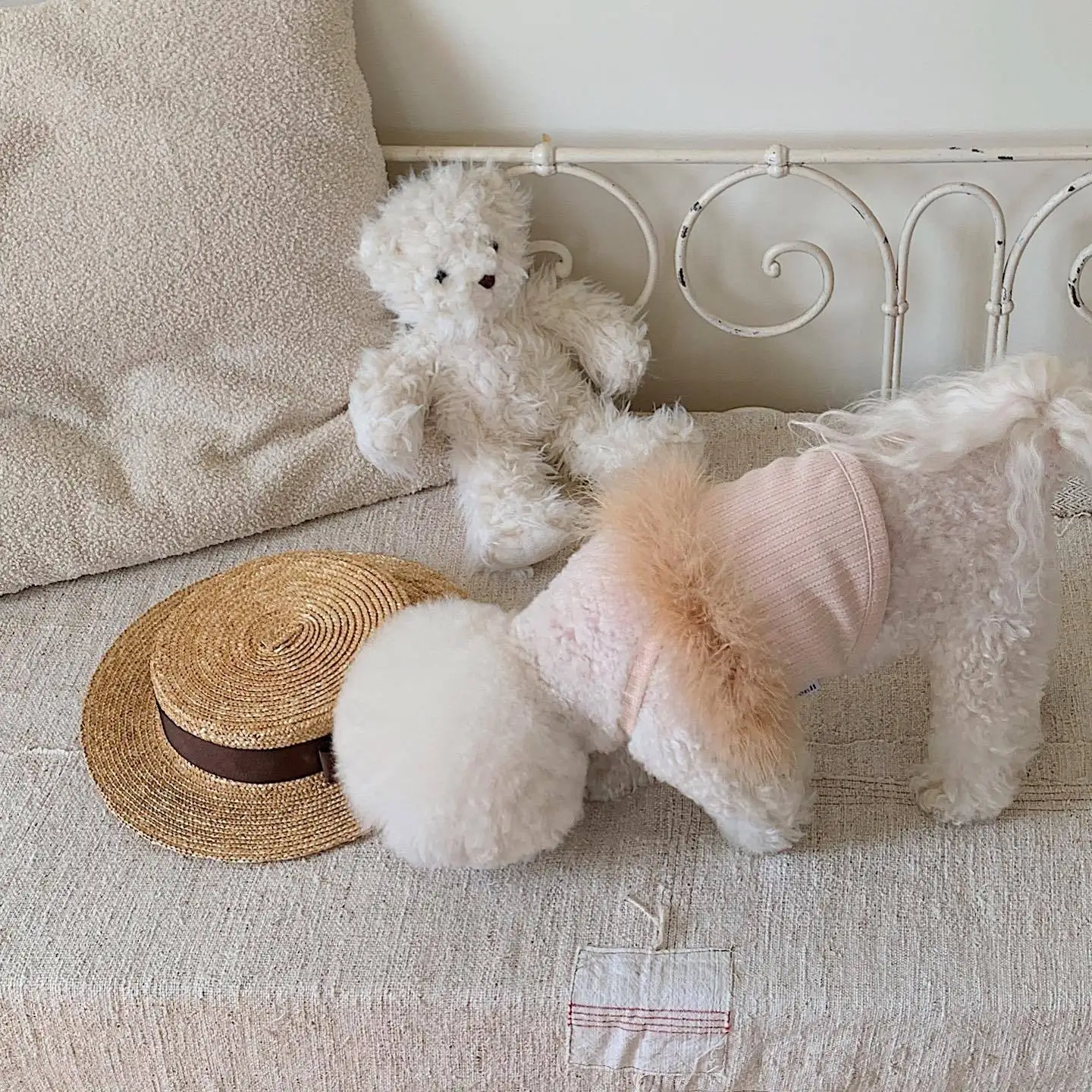 unknown_335522403_303586571338