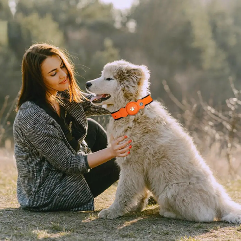 Collar con batería de larga duración para perro, rastreador Gps para mascotas, rastreador Gps en tiempo Real, Collar para mascotas, resistente al agua, batería de larga duración para perros - imagen 2