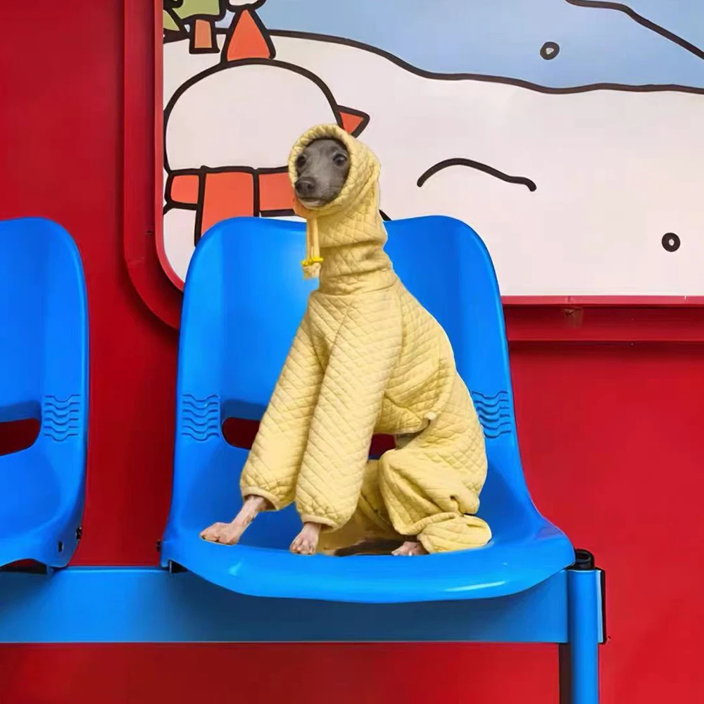 Ropa de invierno para perros: sudadera cálida para galgo italiano
