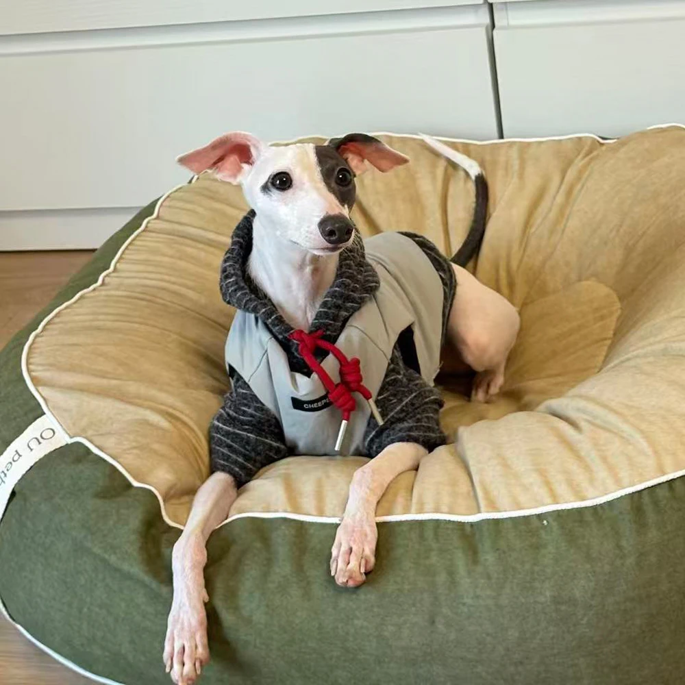 Abrigo cálido de dos lados para usar para galgo italiano en invierno, conjunto de dos piezas, chaqueta, camiseta interior con capucha para perros Samll Meida Whippet - imagen 3