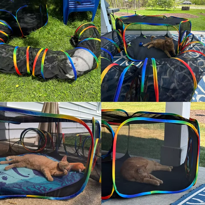Juego de parque infantil con recinto para gatos para interiores y exteriores, túnel de tienda portátil y diseño apto para animales pequeños para gatos/gatitos - imagen 5