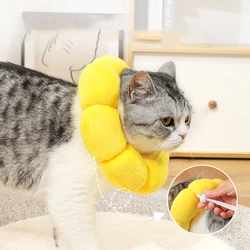 Collar isabelino para gatos suave - protección posquirúrgica