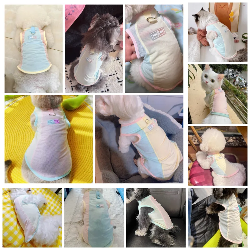 Ropa refrescante para cachorros de verano, disfraz para perros y niñas, chaleco para perros a la moda, camisetas para mascotas Chihuahua Bichon Yorkie, nueva ropa de protección solar de malla - imagen 2
