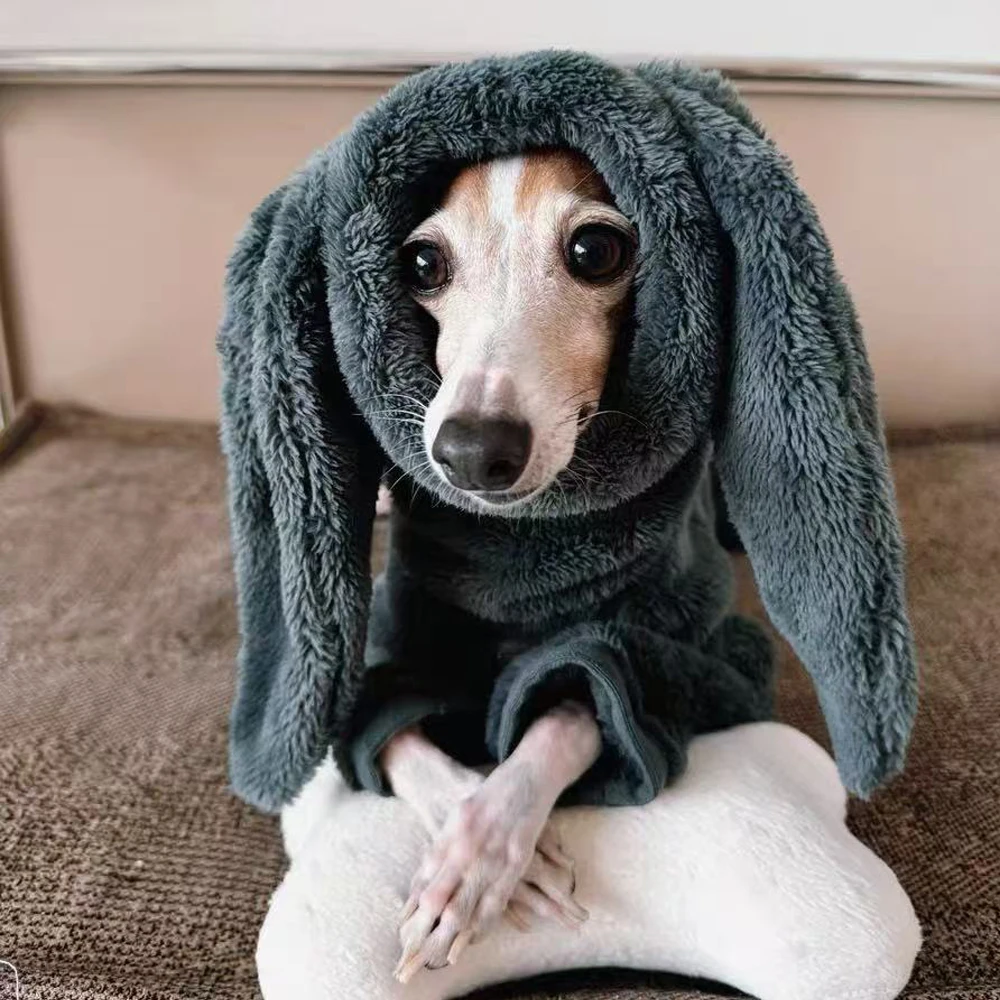 Abrigo cálido de invierno con Orejas de conejo para galgo italiano pequeño, chaqueta de cuello alto a prueba de viento para Whippet en clima frío - imagen 3