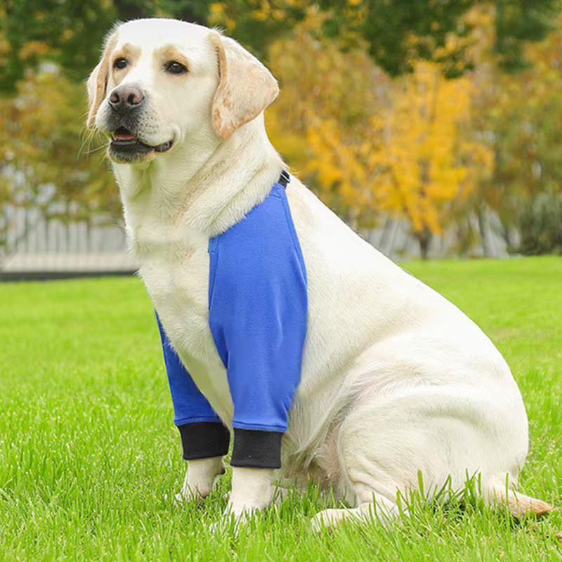 Rodilleras ajustables transpirables para perros medianos y grandes - imagen 3