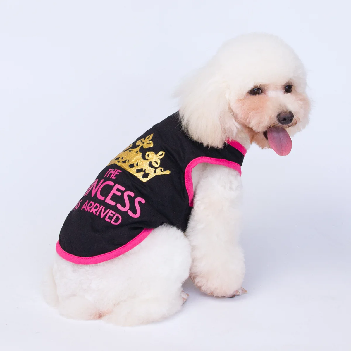 Ropa Bonita para Perros Pequeños y Cachorros con Estilo de Camisa - imagen 5