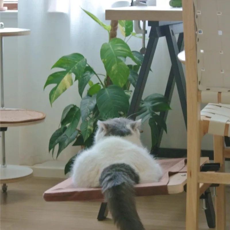 Transportín de madera para rascador de gatos, hamaca protectora para gatos, rascador de madera contrachapada de lujo de Sisal, torre de entrenamiento, productos para mascotas, accesorios - imagen 5