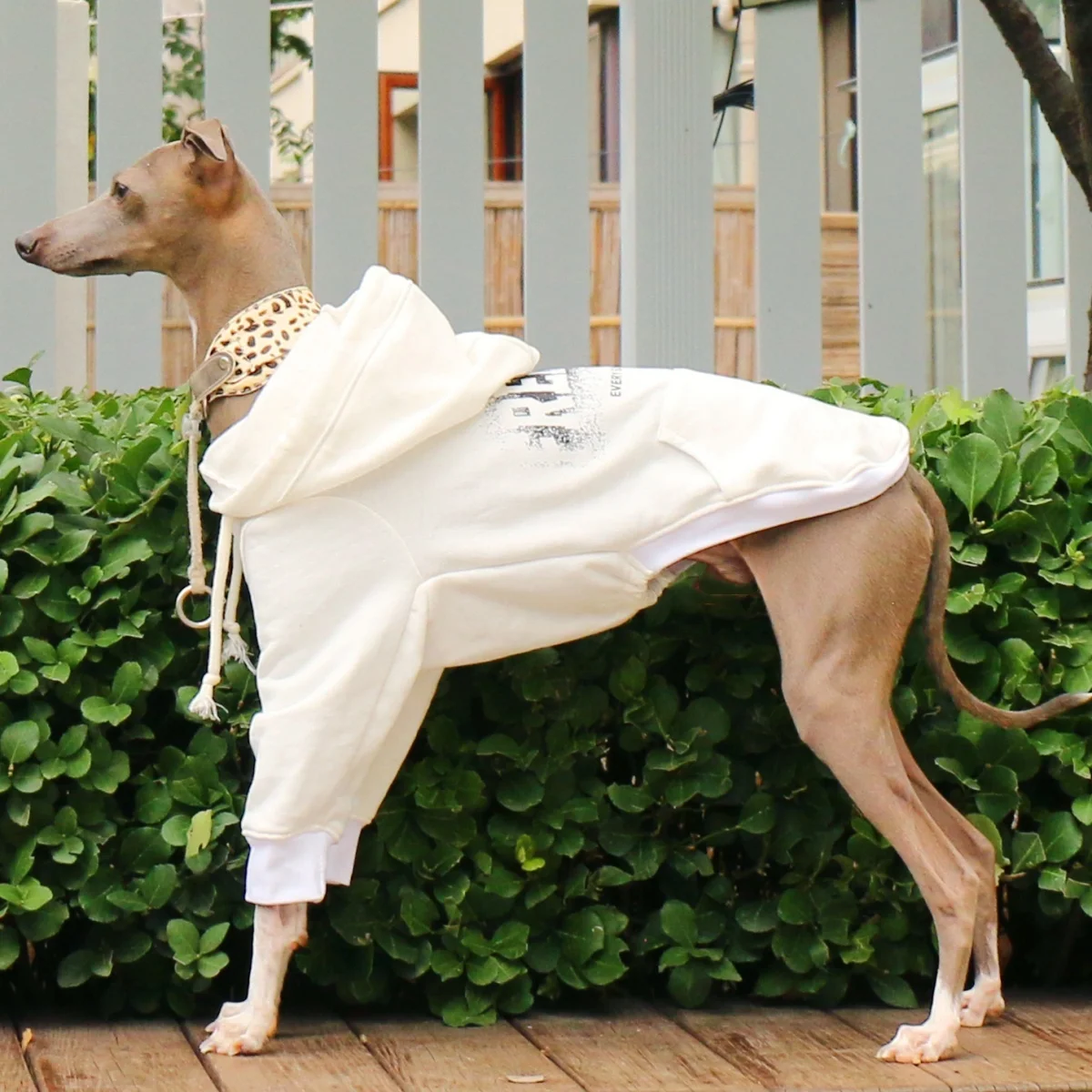 Sudadera con capucha con cordón de galgos para galgo italiano, Top blanco de manga larga para Whippet, abrigo rosa suave para perros medianos - imagen 4