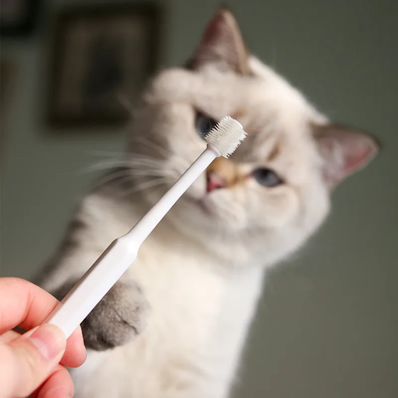 Cepillo de dientes para gatos, cepillo de pelo suave para limpieza bucal, productos para mascotas - imagen 2