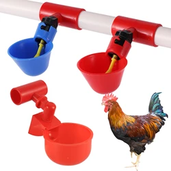 Bebedero automático para pollos con taza de agua – Relleno por hilo