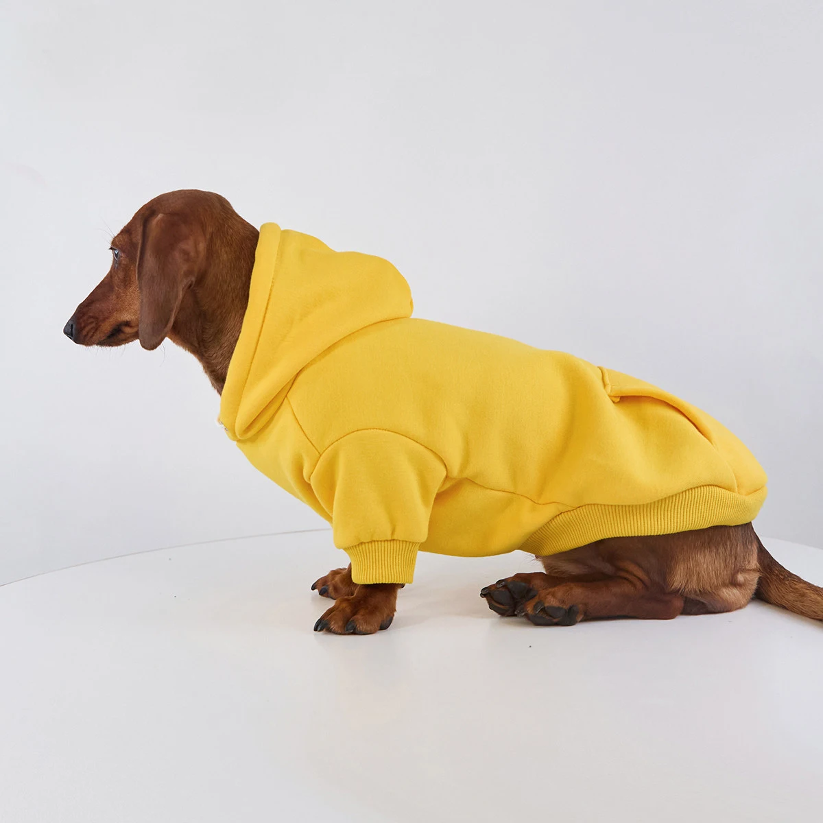 Chaqueta forro polar con capucha perros Dachshund, pequeños y medianos - imagen 5