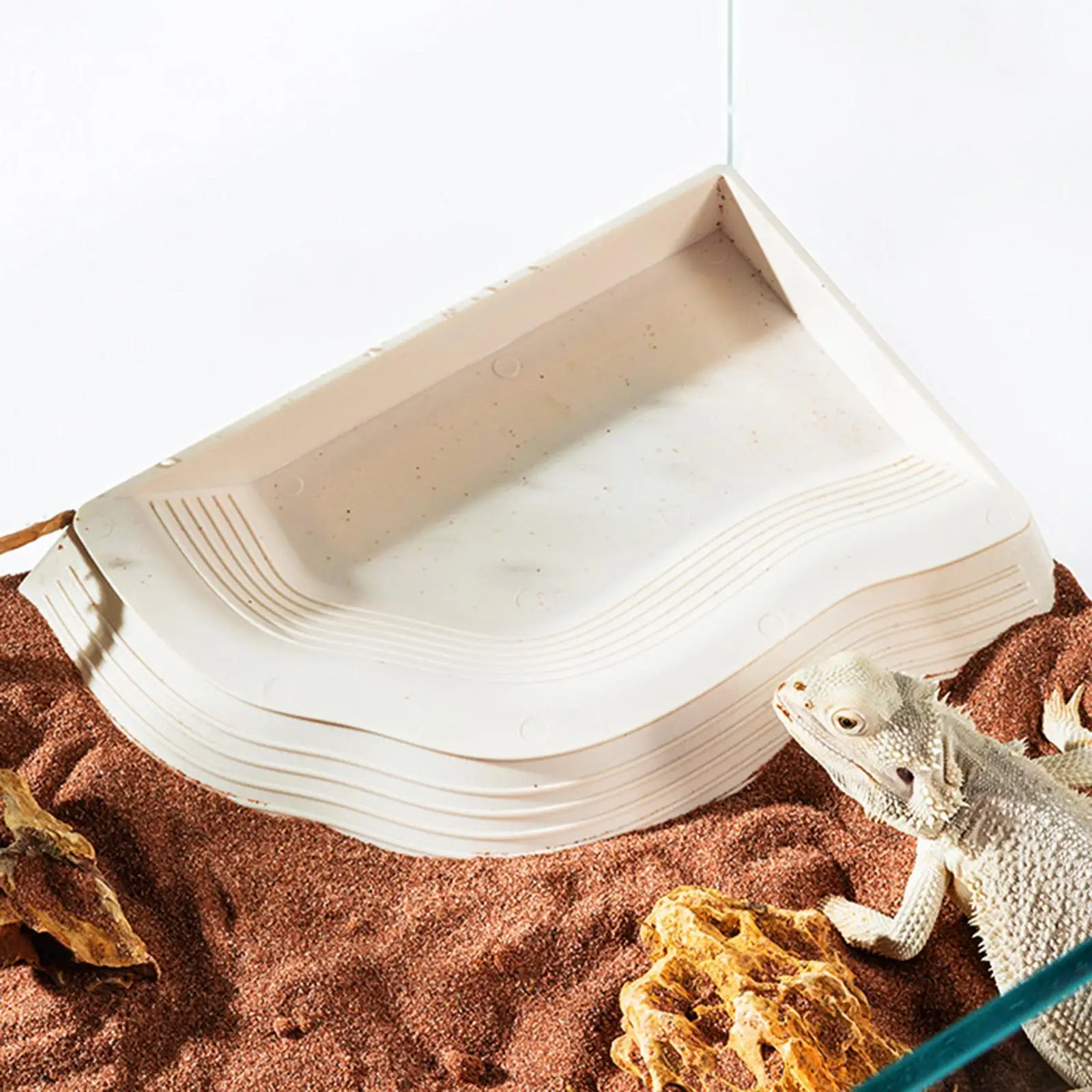 Turtle Bath with Ramp Food Feeder Bowl for Bearded Dragon Turtle Tortoise