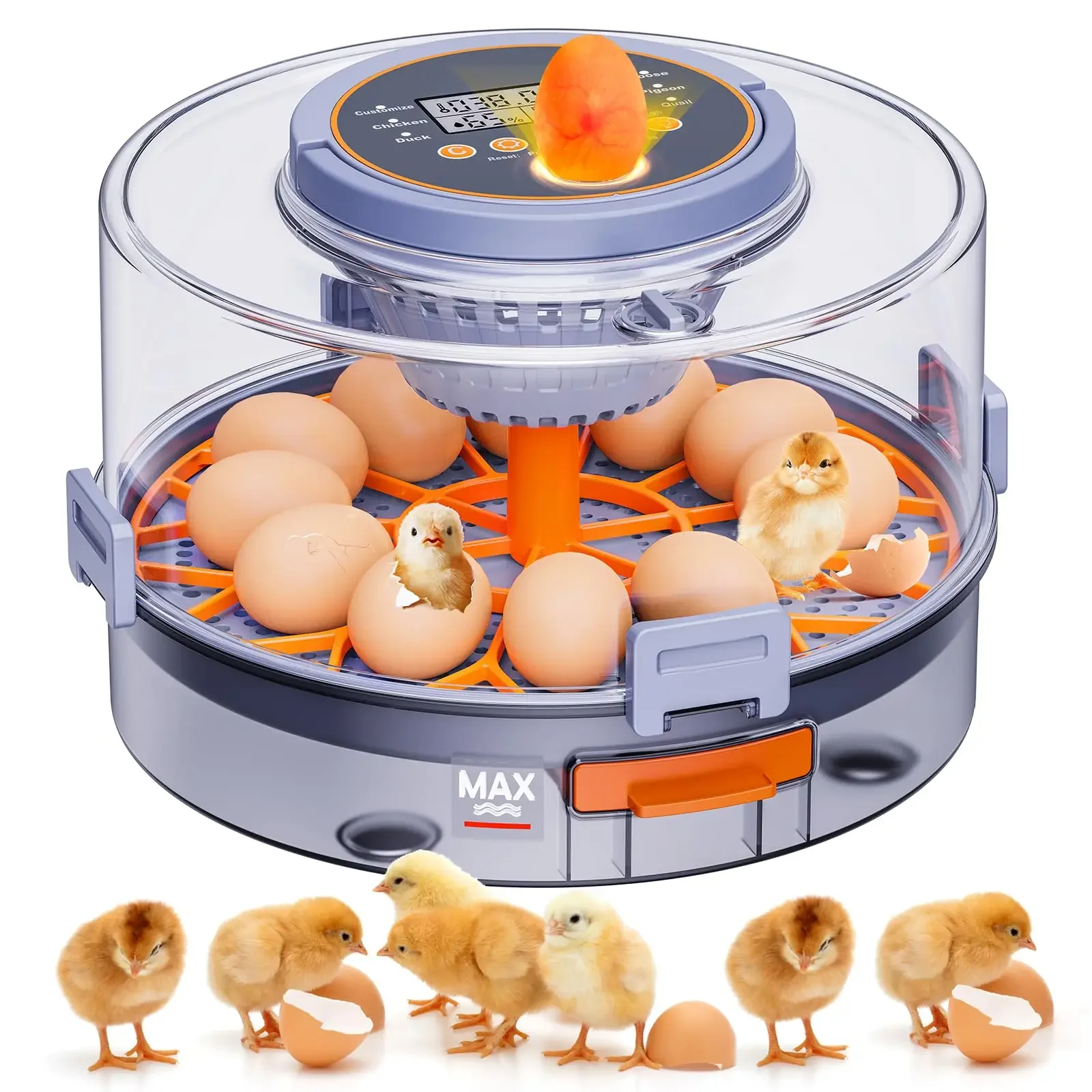Incubadora automática para 12 huevos con giro y control de temperatura