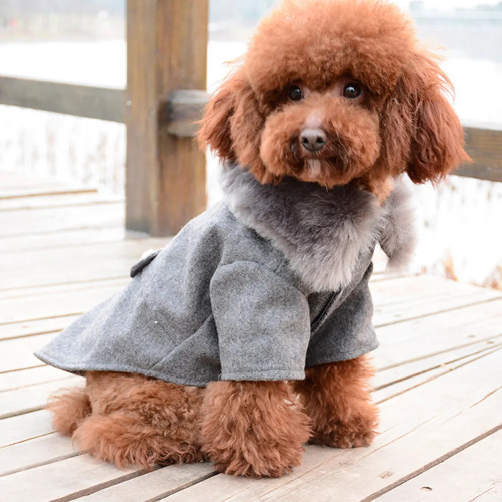Ropa de invierno para perro, chaqueta con cuello de piel para gato, suéter acolchado cálido para cachorro, perros pequeños y medianos - imagen 2