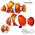 Clownfish