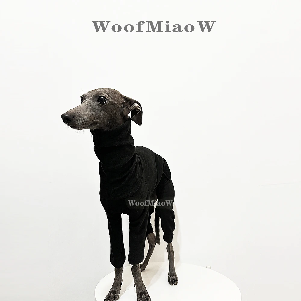 Ropa de cuatro patas de galgo italiano, ropa para perros de Color puro, elástica, suave y cómoda, Multicolor, a la moda - imagen 4