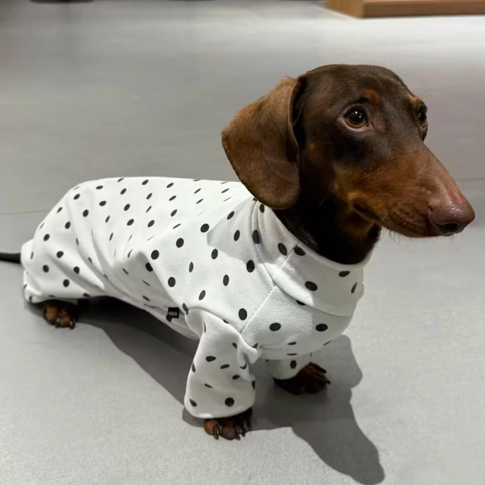Pijama de algodón con lunares para perro salchicha – Blanco para otoño - imagen 3
