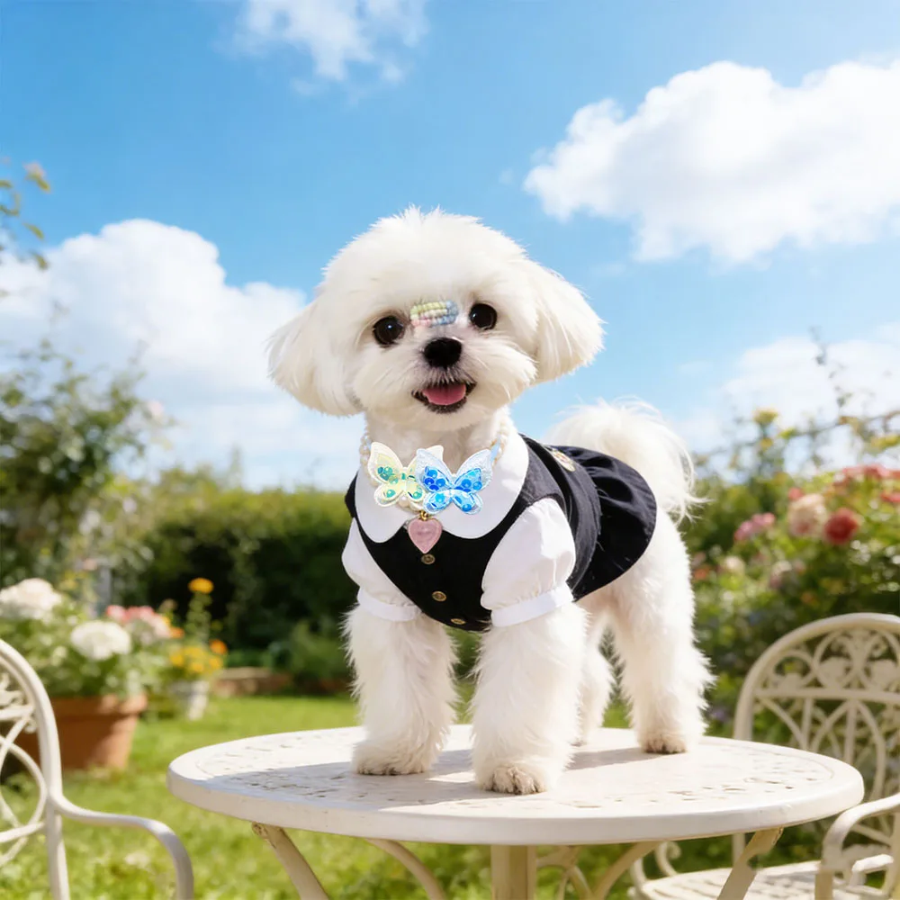Lazos ajustables forma mariposa para perros – Decorativos - imagen 4