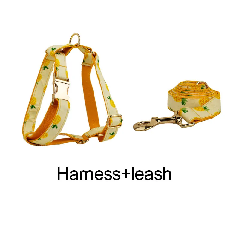 Harness   leash