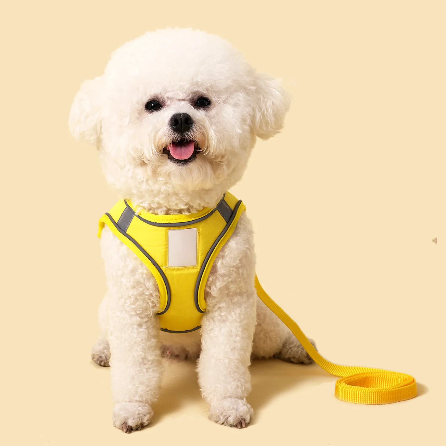 Arnés transpirable para perros pequeños, conjunto de correa de arnés reflectante ajustable para perros, accesorios cómodos para correa de gato con etiqueta de nombre - imagen 3