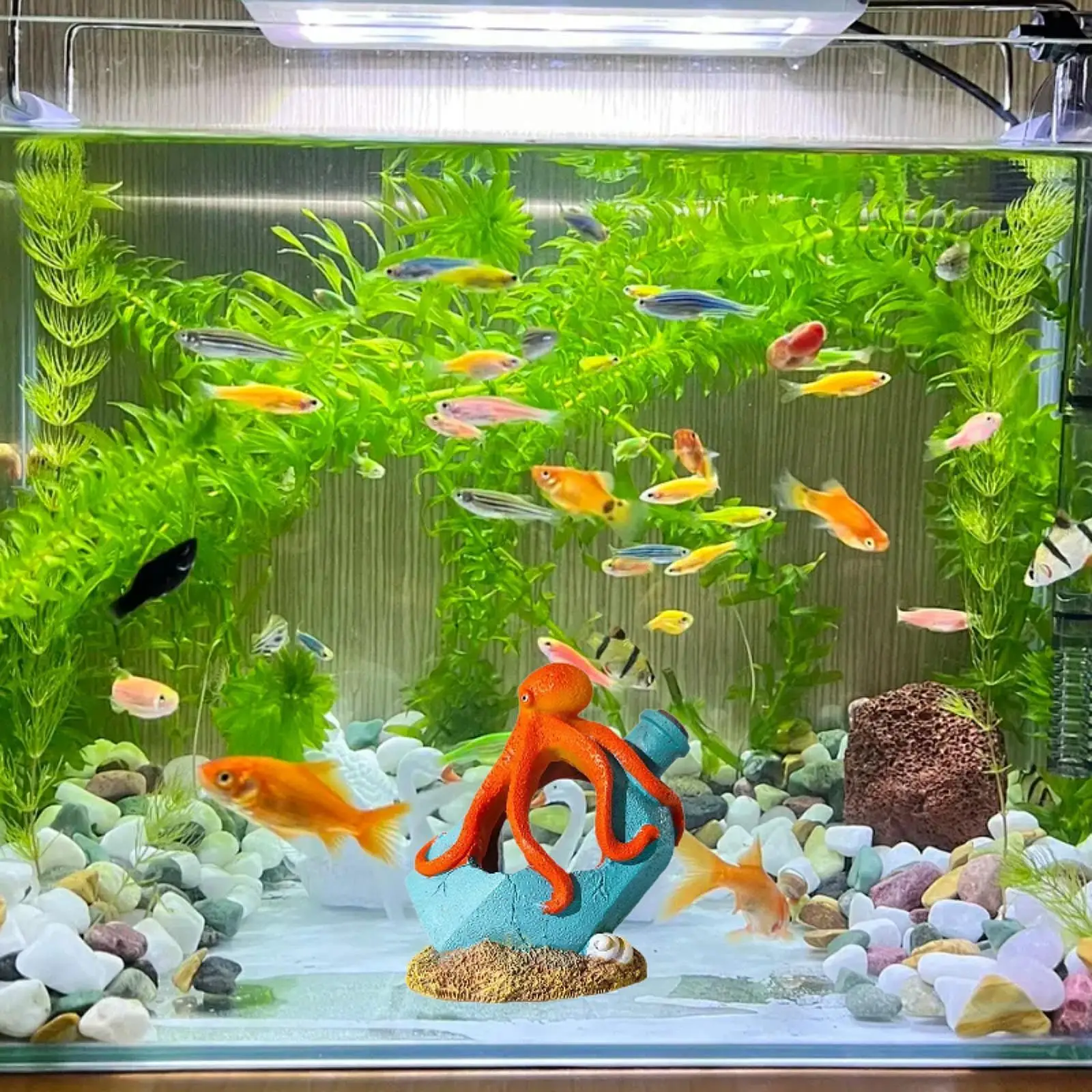 Aquarium Decoration Lifelike Fish Shrimp Hiding House Fish Shrimp Shelter for Tabletop