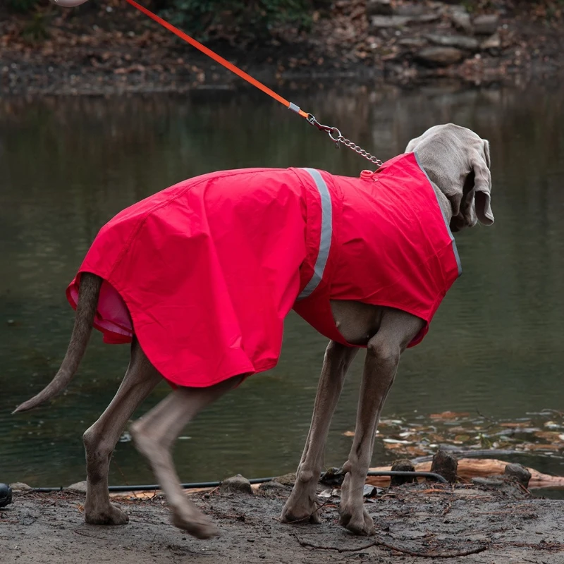 Ropa impermeable para perros a prueba de viento, ropa para perros con bolsillos para perros grandes, disfraces resistentes a la suciedad, chaqueta, suministros impermeables para mascotas - imagen 4