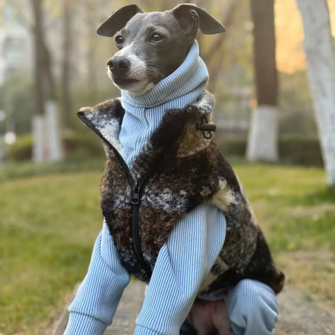 Chaleco de forro polar para perros - Mono cálido para Galgo Italiano - imagen 3
