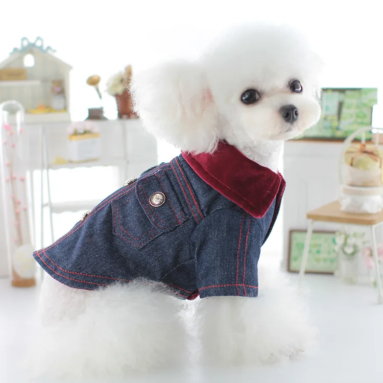 Abrigo con cuello de terciopelo para mascotas, ropa para perros pequeños y medianos, conjunto informal de vaquero, ropa de algodón de cuatro patas, ropa de invierno de dos piernas