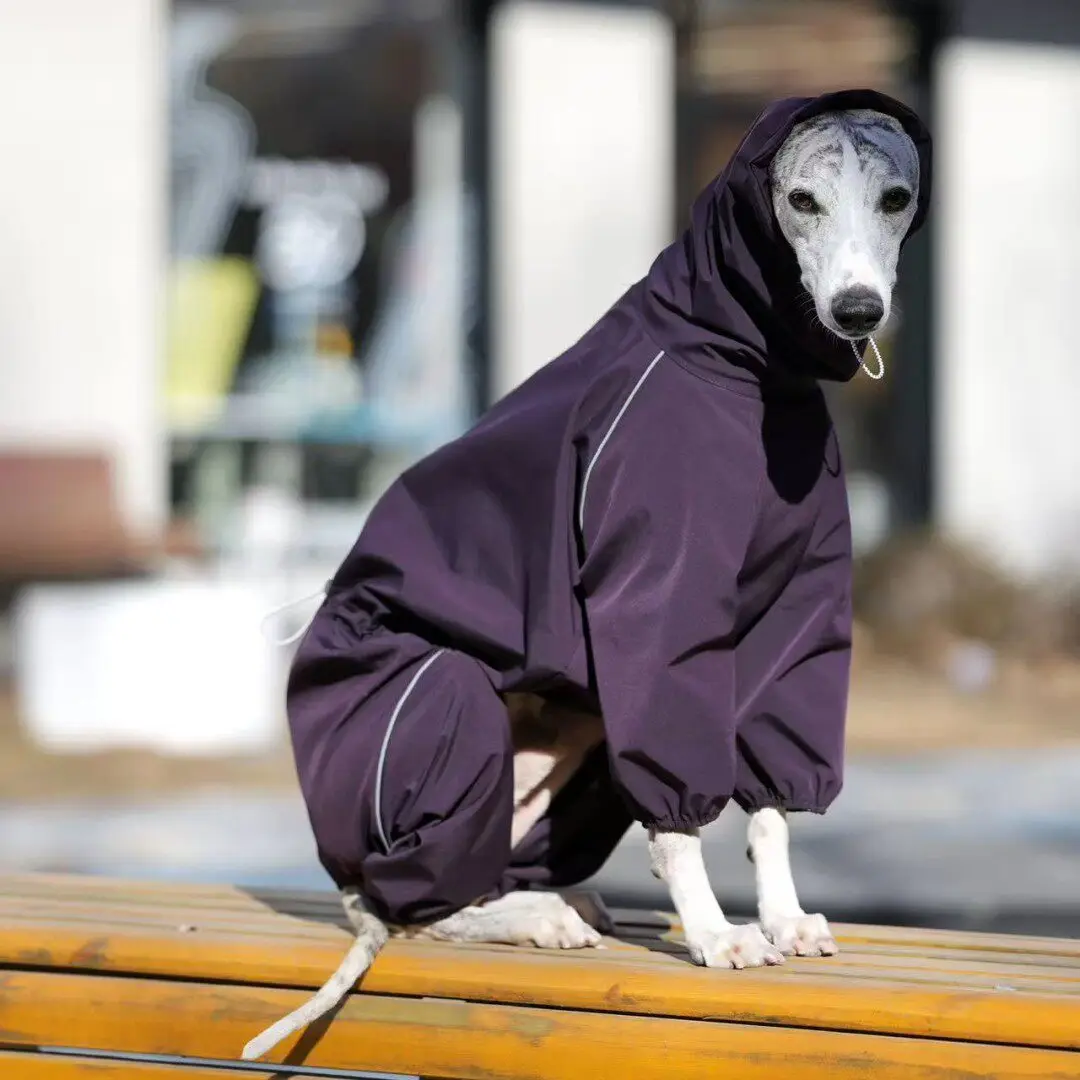 Chaqueta cortavientos para galgo italiano y whippet - imagen 4