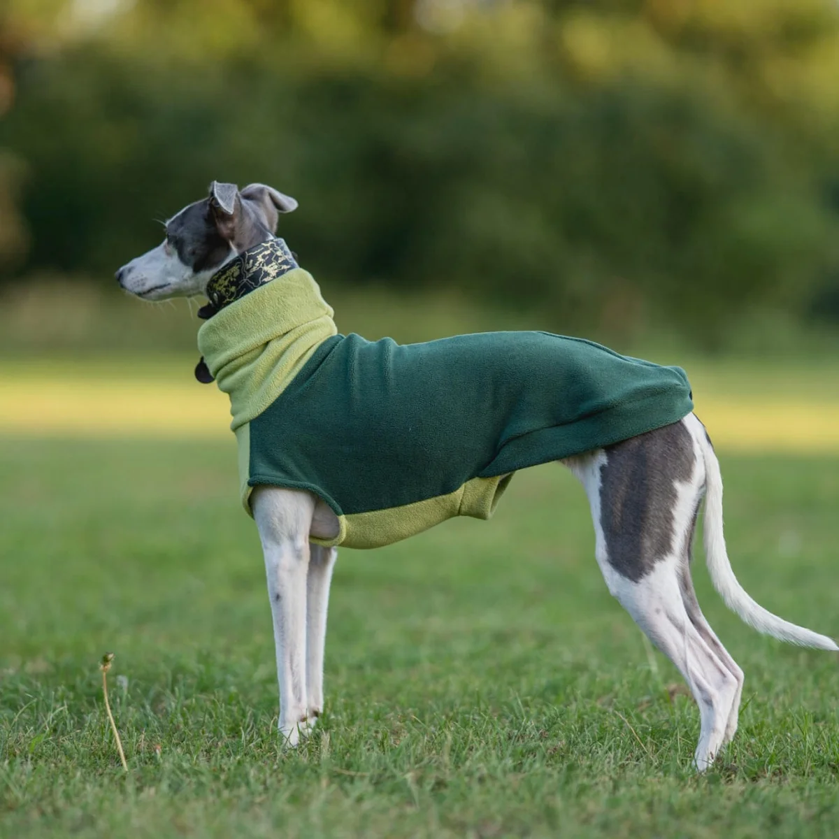 Abrigo para galgos perros y whippets forro polar verde cuello alto - imagen 2