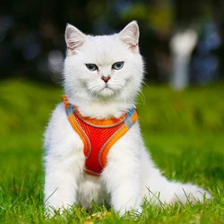 Arreo chaleco para gatos con correa – Talla regulable tipo pectoral
