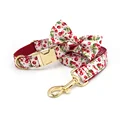 bow collar leash