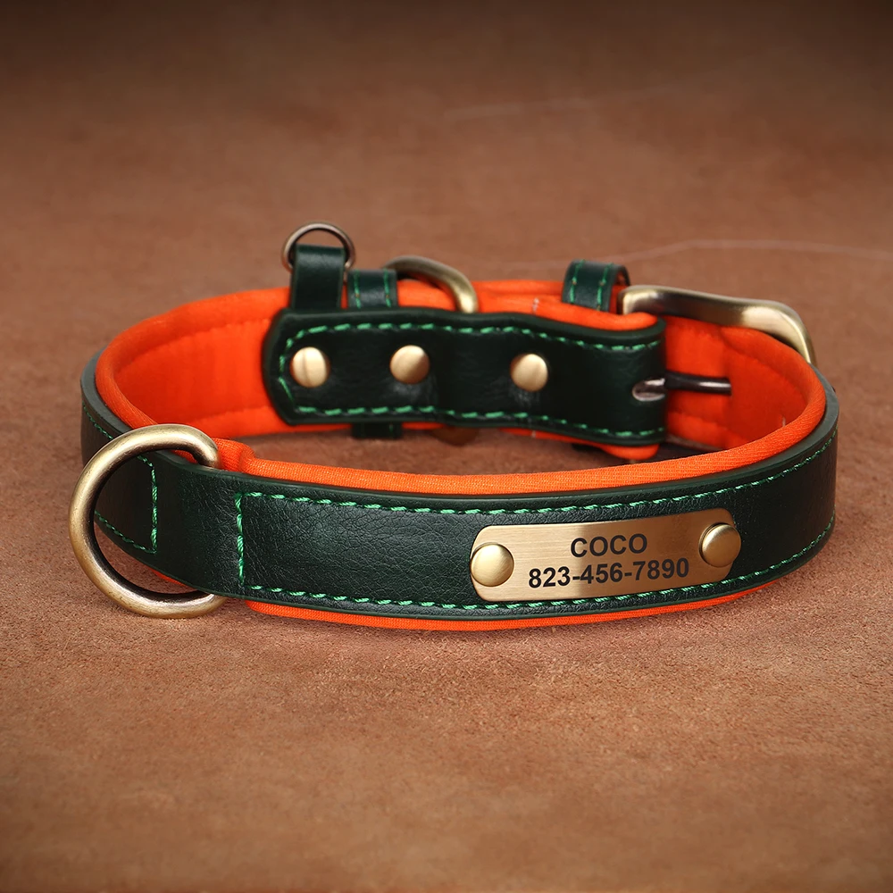 Collar nombre grabado – Cuero PU acolchado para perro - imagen 4