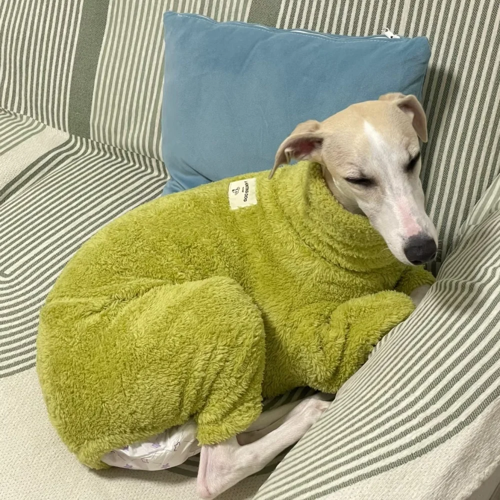Ropa para perros Chaqueta de invierno de 4 patas para pequeño galgo Sudadera verde de terciopelo para perros caniche Abrigo cálido de primavera para Yorkshire - imagen 2