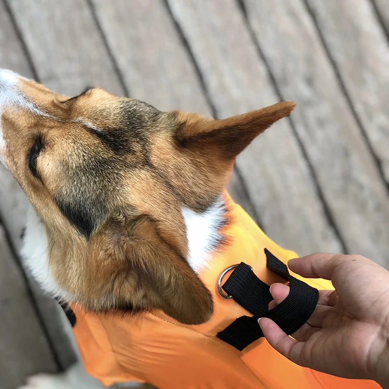 Chaleco salvavidas de verano para mascotas, chaqueta, traje de baño ajustable para perros con mango de rescate para perros pequeños y medianos, ropa de seguridad Ripstop Corgi - imagen 5