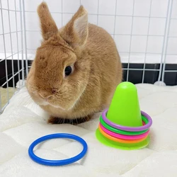 Juguete interactivo con virola para gatos – Alivia el aburrimiento y estimula