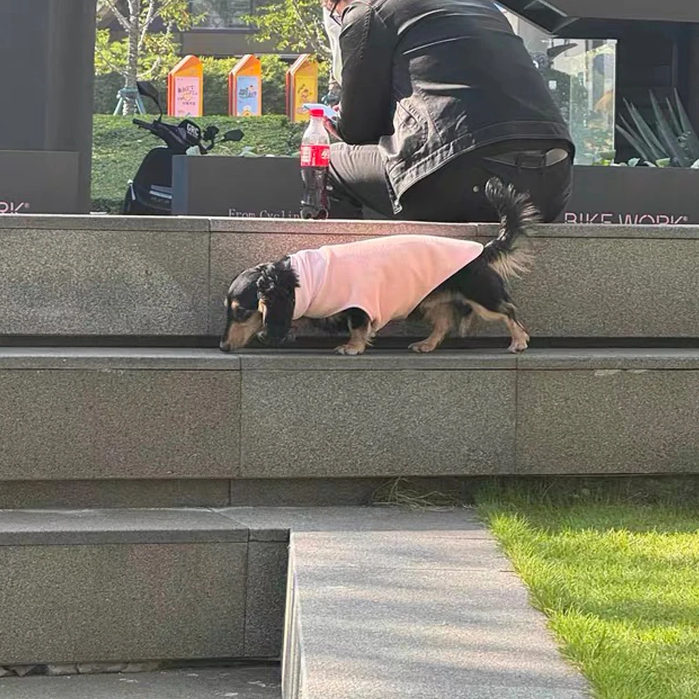 Suéter rosa dulce para perros Wiener, sudadera de otoño e invierno para perros salchicha, abrigo cálido para medios pequeños, perros grandes con salchicha - imagen 5