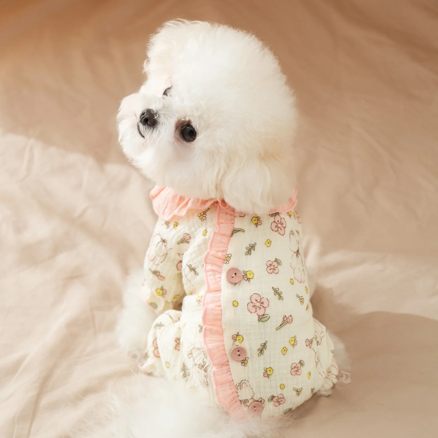 Otoño e Invierno perro princesa mono de encaje mascota pantalones de cuatro patas pequeño tamaño mediano perro gato ropa de casa ropa de cachorro