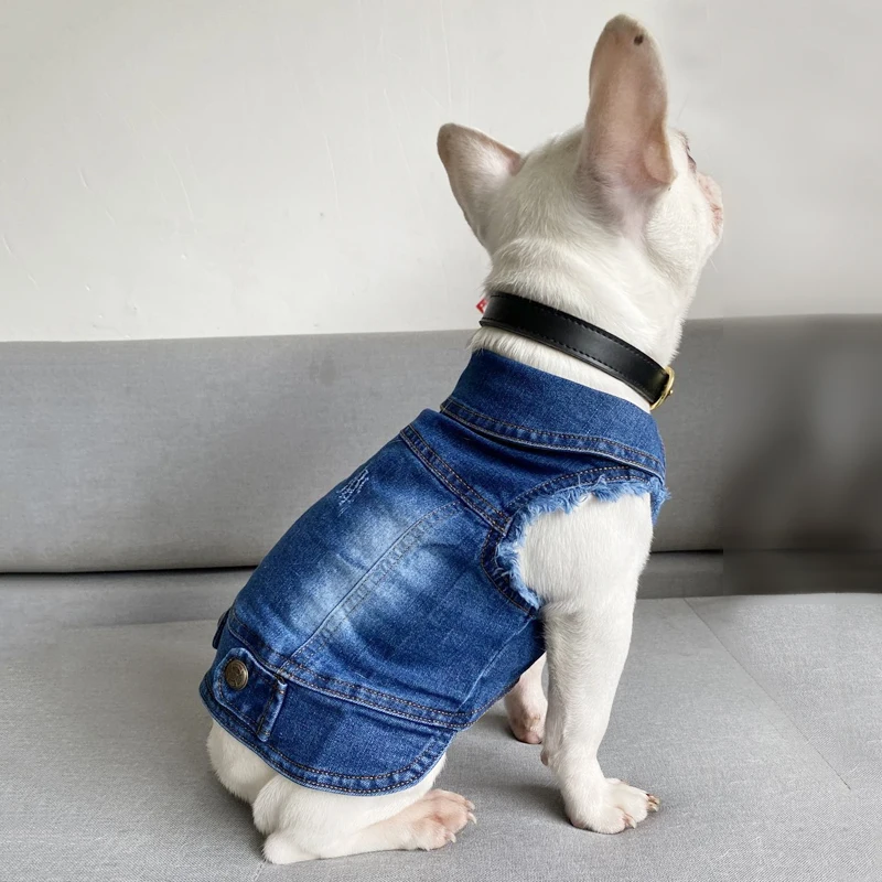 Chaqueta vaquera deshilachada para perro, chaleco con solapa para perros pequeños, camisa vaquera azul, ropa para cachorro, disfraz de Chihuahua, primavera de 2020 - imagen 4