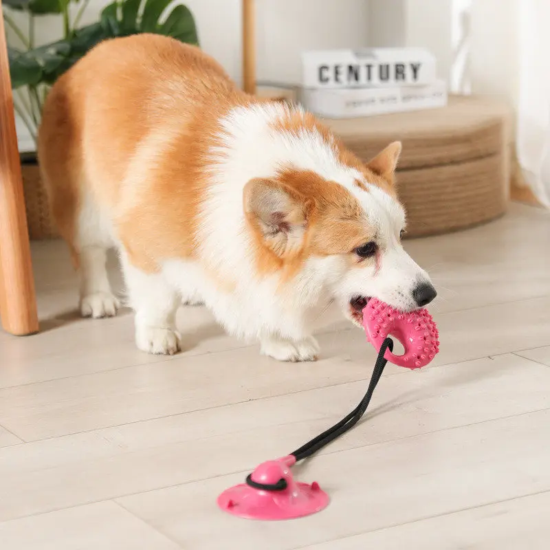 Juguetes para perros con ventosa de silicona, pelota interactiva para perros, juguete para masticar, morder, limpieza dental, cepillo de dientes, suministros para alimentar a mascotas - imagen 4