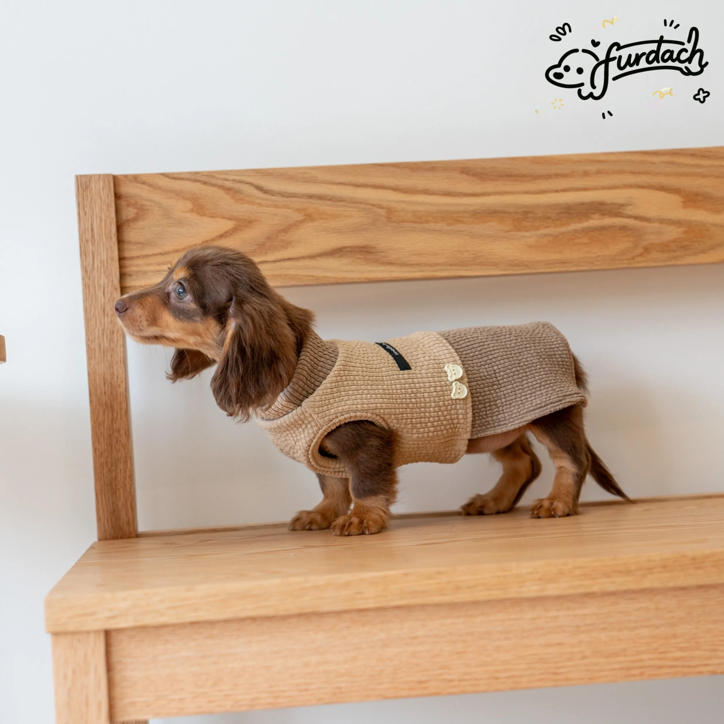 Chaleco sin mangas para Dachshund, algodón antiestático