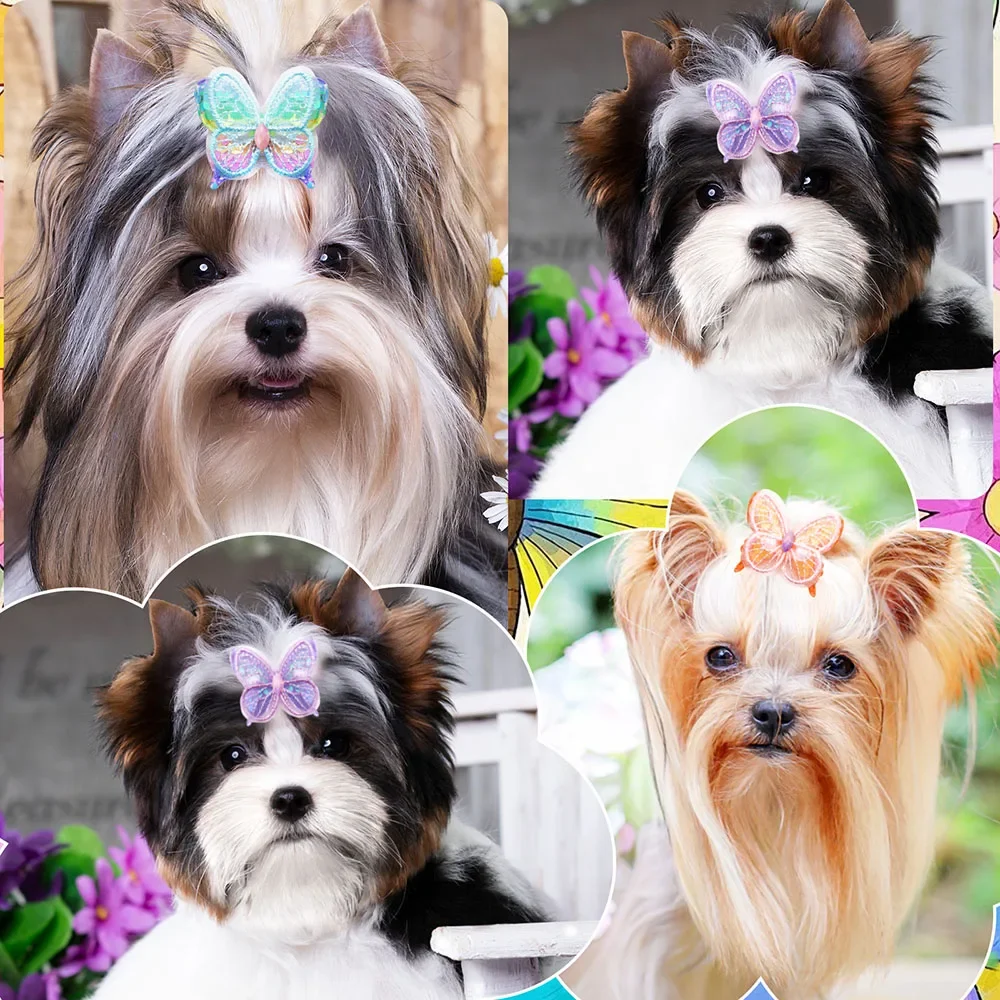 Lazos decorativos para perros pequeños – Estilo mariposa - imagen 2