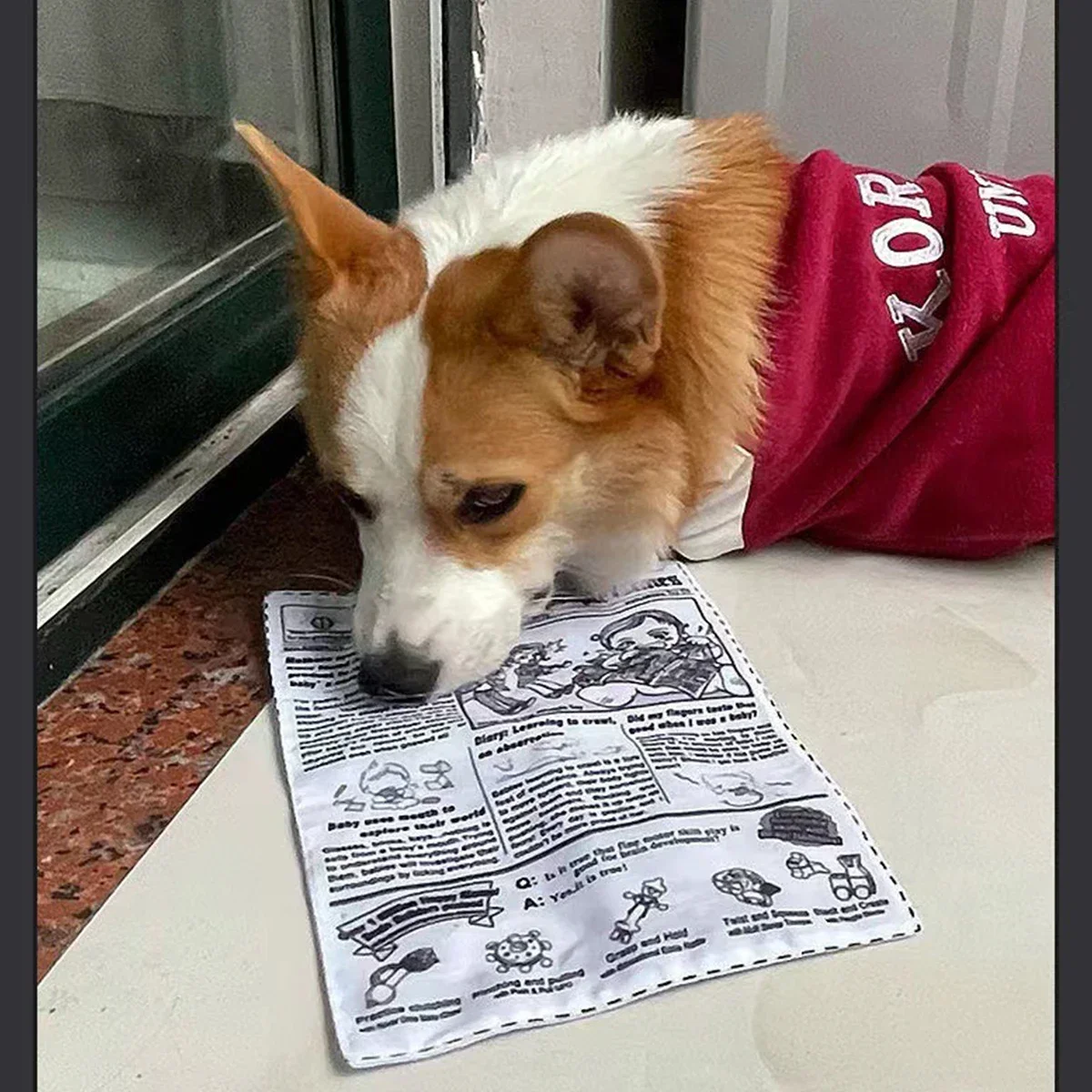 Juguete con sonido de perro a prueba de lágrimas, naipes de periódico chirriante simulado, resistente a los dientes, Corgi, cachorro de peluche interactivo, 1 ud. - imagen 4