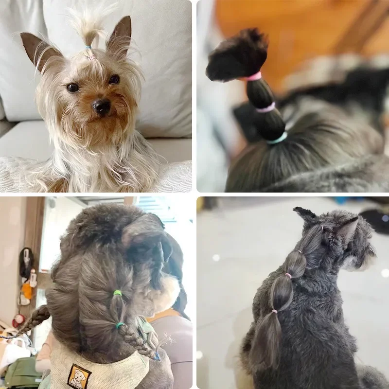Cinta de goma colorida para el pelo de mascotas, gorros para perros, peluches para perros, lazos para el pelo DIY, horquilla para el cuidado, accesorios para el cabello para mascotas - imagen 4